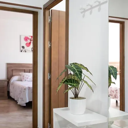 Deluxe En Conil Con Piscina Privada, Aire Acondicionado Y Terraza - Es-180-45